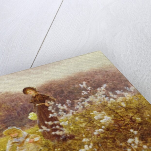 Picking Primroses, 1896 by Thomas James Lloyd