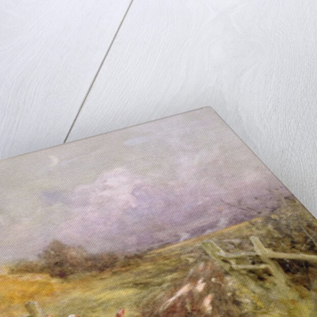 Driving Geese, Early Evening, 1907 by Thomas James Lloyd