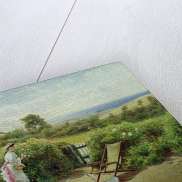 In the Garden, 1903 by Thomas James Lloyd