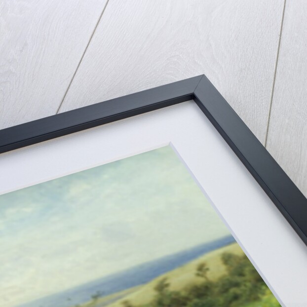 In the Garden, 1903 by Thomas James Lloyd