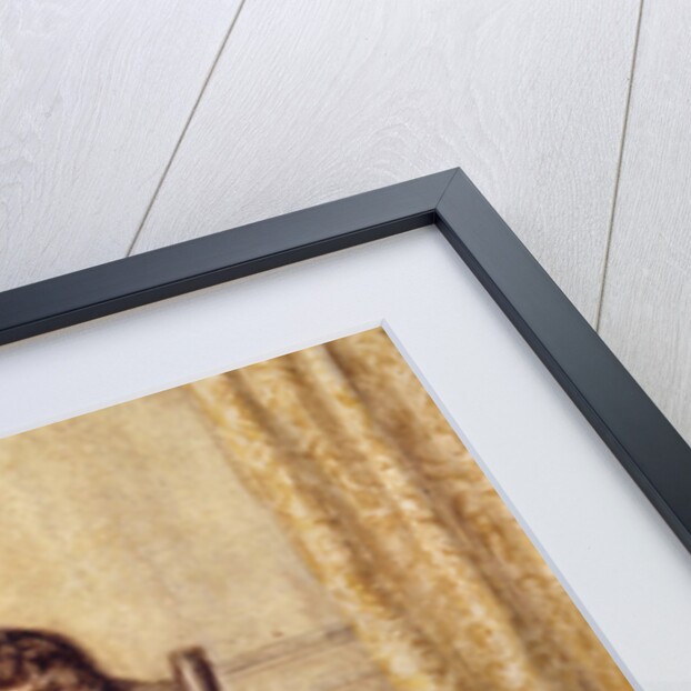 Captured Unawares by Caroline Paterson