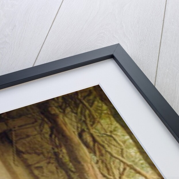 Mess Mates by Helena J. Maguire