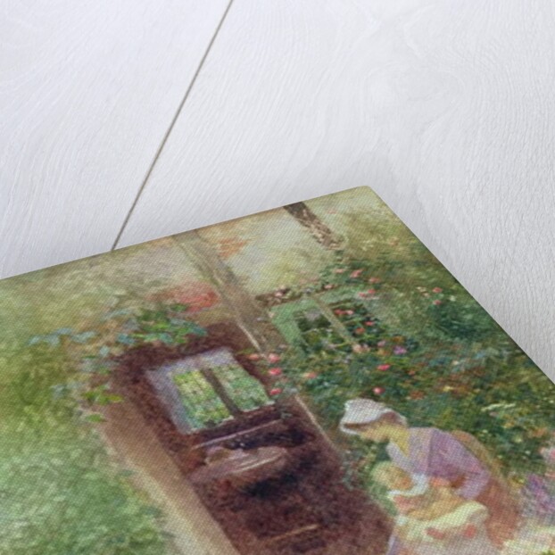 Enjoying the Sun by Thomas Mackay