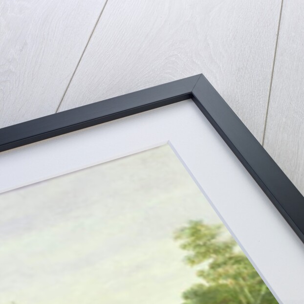 Honeysuckle and Ferns by Albert Durer Lucas