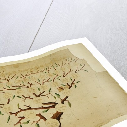 Bach Family Tree, c.1750-1770 by German School