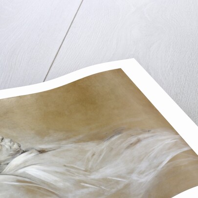 Prince Otto von Bismarck on his Death Bed, 1898 by Franz Seraph von Lenbach