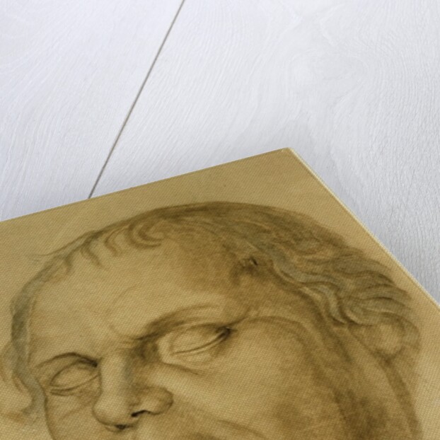 Posthumous Portrait, Martin Luther, 1546 by Lucas Fortenagl