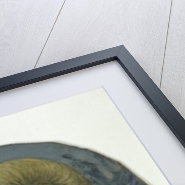 Johanna Elisabeth Mencken by German School