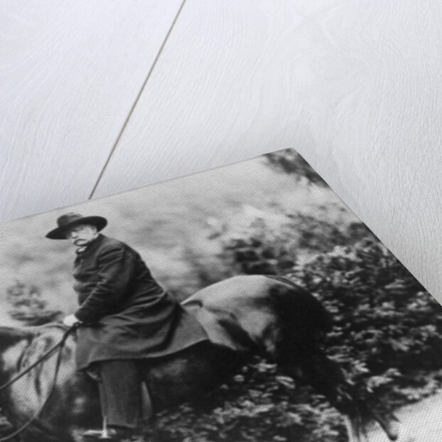 Prince Bismarck in Friedrichsruh, 1890 by School German