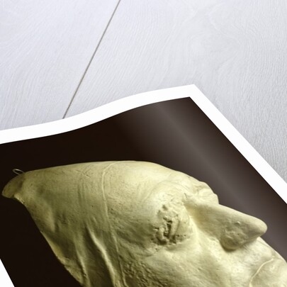 Goethe's Mask, 1807 by Ludwig Weisser