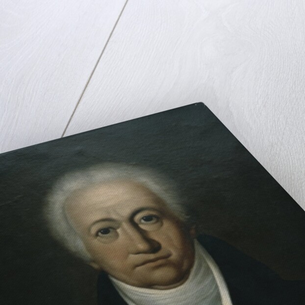 Portrait of Goethe, 1816 by Ferdinand Jagemann