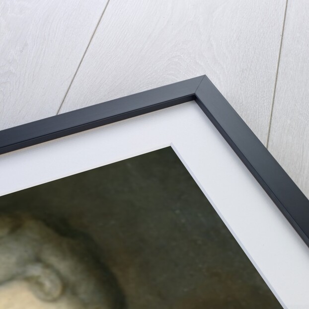 Countess Cosel by German School