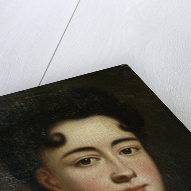 Countess Cosel by German School
