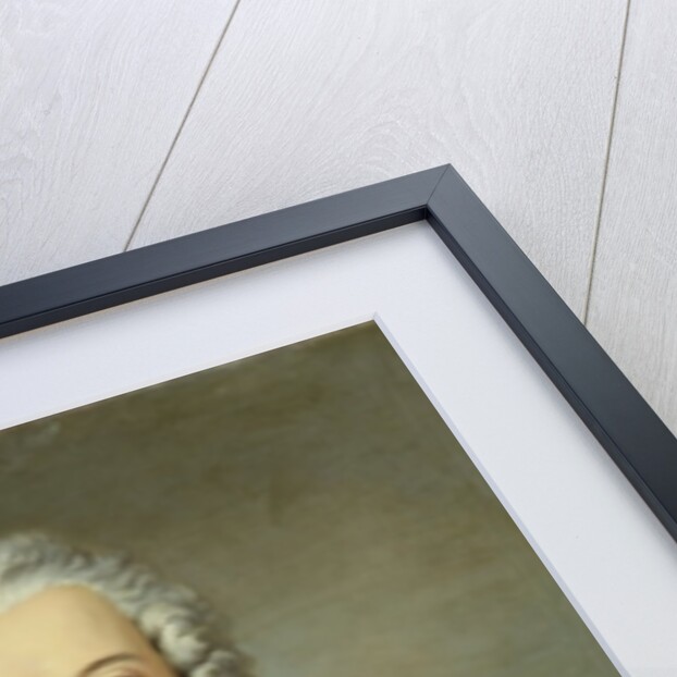 Crown Prince Frederick II, c.1740 by Antoine Pesne