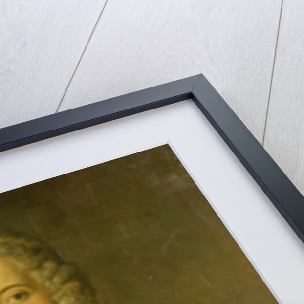 Crown Prince Frederick II, 1728 by Antoine Pesne