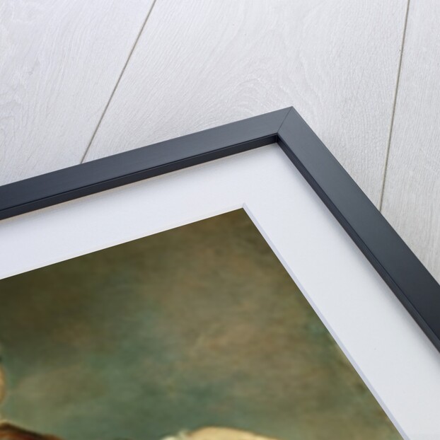 The Crown Prince Frederick II, c.1736 by Georg Wenceslaus von Knobelsdorff