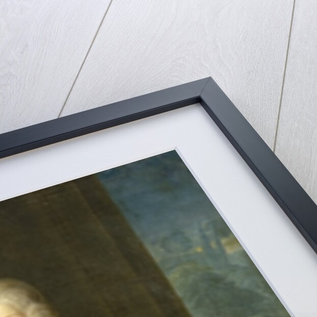 The Crown Prince Frederick II in his Corps de Cadets by Antoine Pesne