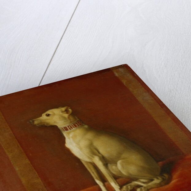 One of Frederick II's Italian Greyhounds by German School