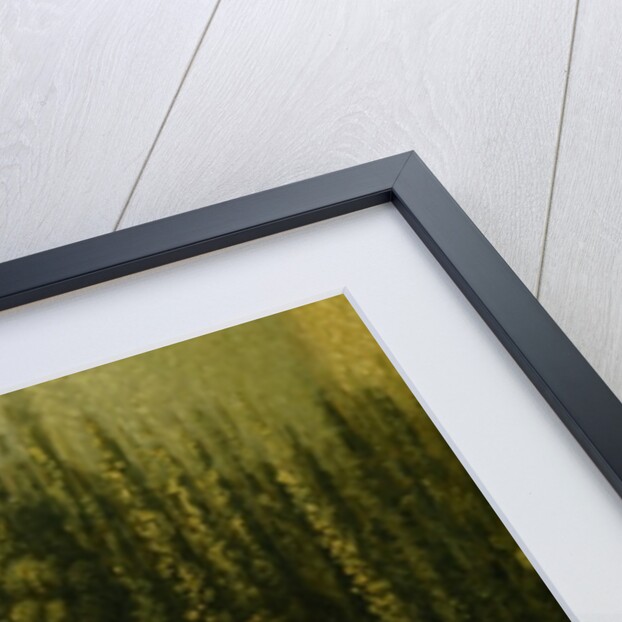 Frederick the Great on Horseback in the Maulbeerallee near Sanssouci, 1770 by German School