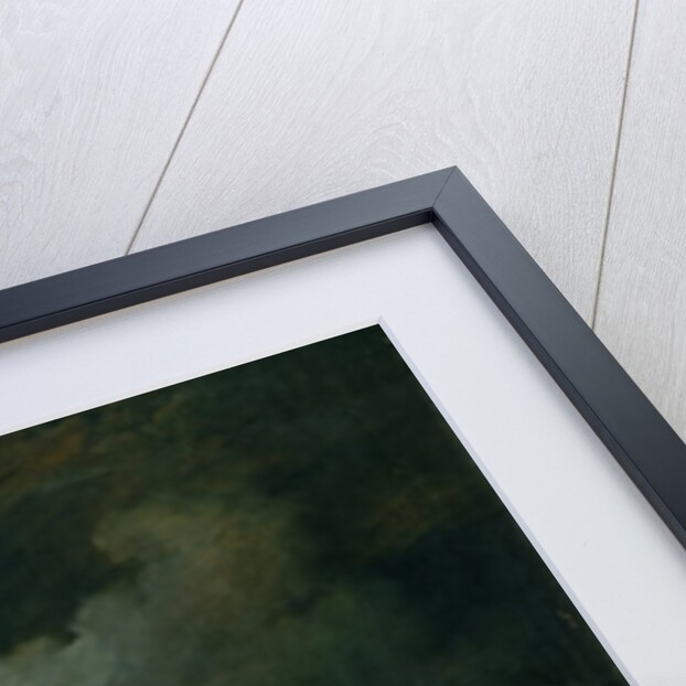 Minerva Showing her Envy in the Polished Shield by Christian Bernhard Rode