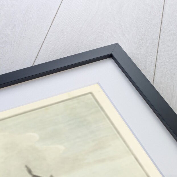 The Opera House, Berlin by Johann Georg Rosenberg