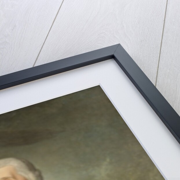 General von Zieten, 1769 by Anna Dorothea Therbusch