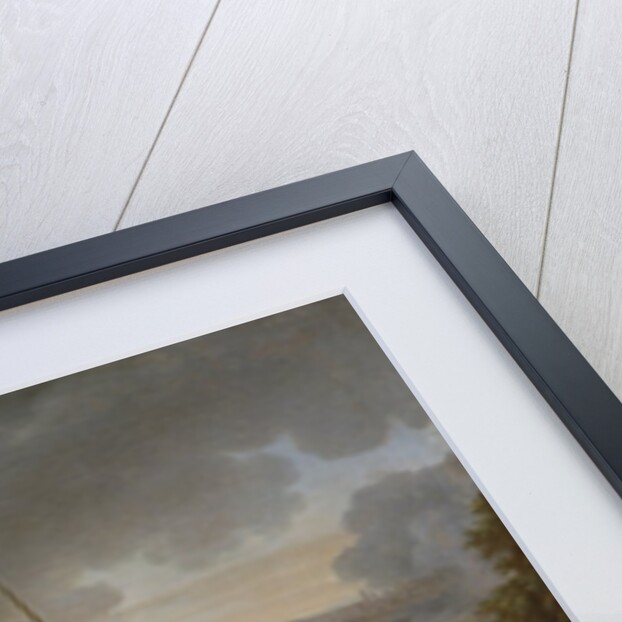 The Death of Field Marshal Schwerin at the Battle of Prague by Johann Christoph Frisch