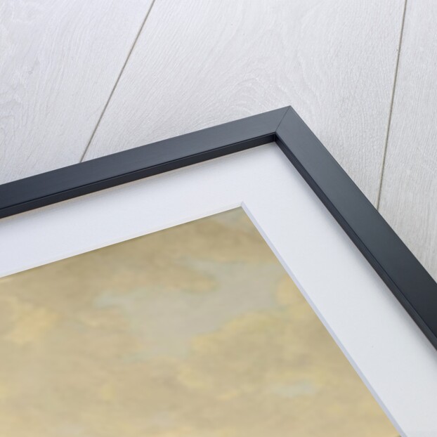 View of the New Palace by School German