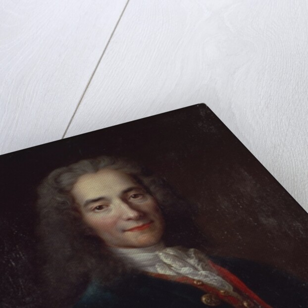 Portrait of Voltaire by Catherine Lusurier