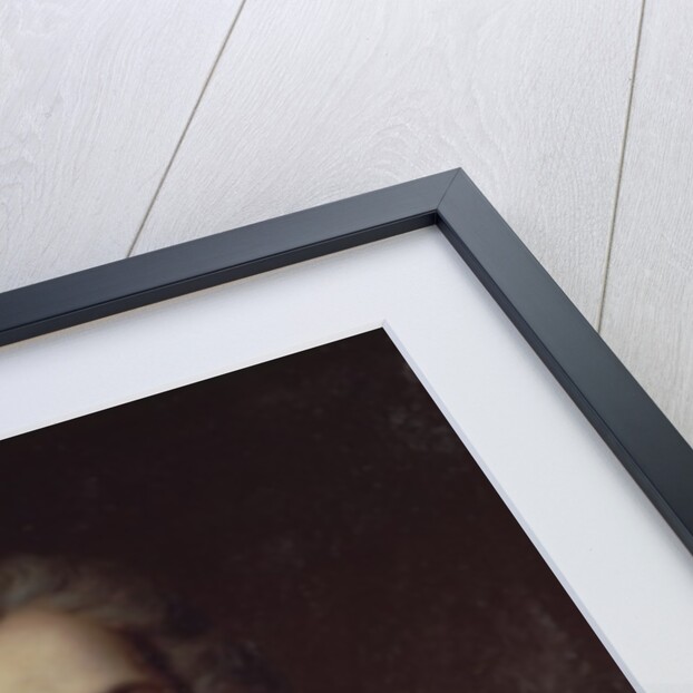 Portrait of Voltaire by Catherine Lusurier