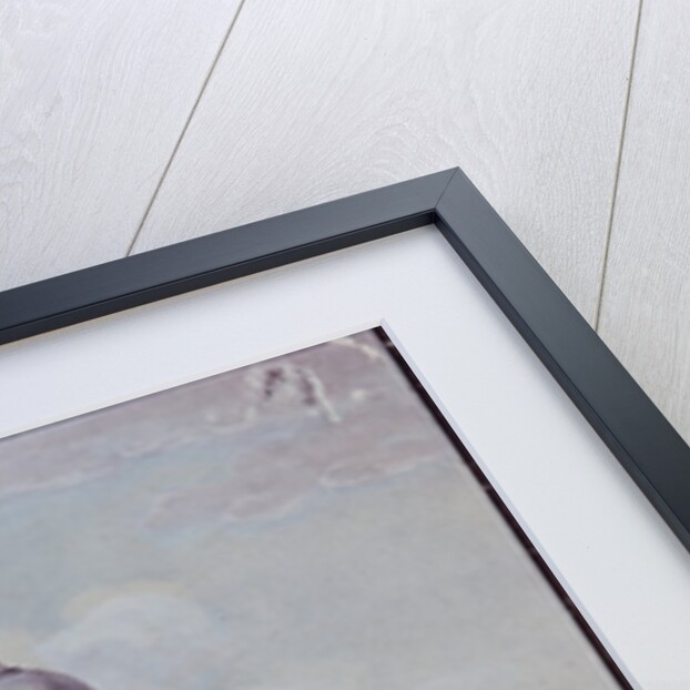 The Castle and Cathedral Church, Berlin by School German