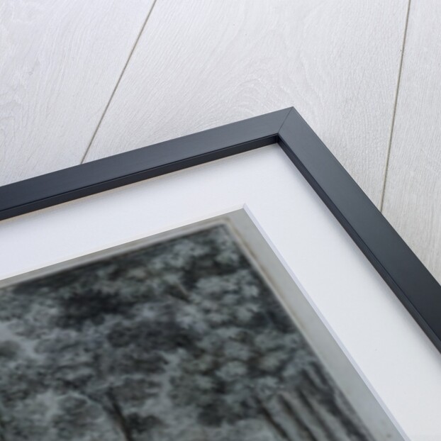 Scene from 'The Magic Flute' by Wolfgang Amadeus Mozart by School German