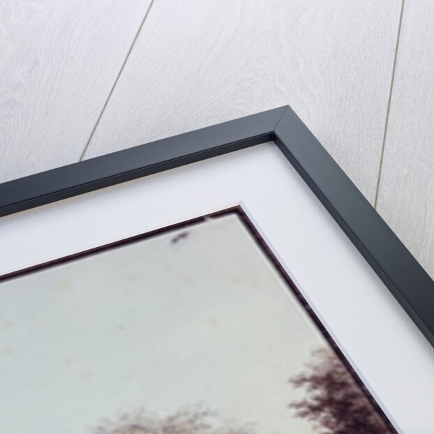 View of the Opera House, Berlin by F.A. Calau