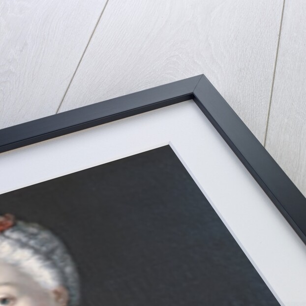 Crown Princess Elisabeth Christine von Preussen, c.1735 by Antoine Pesne