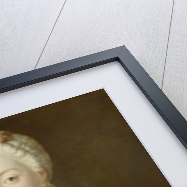 Crown Princess Elisabeth Christine von Preussen, c.1735 by Antoine Pesne