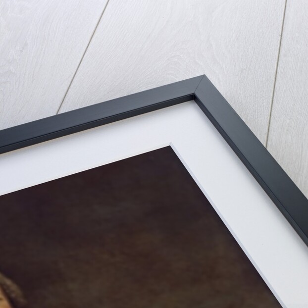 Count Friedrich Heinrich von Seckendorf, 1720 by Antoine Pesne