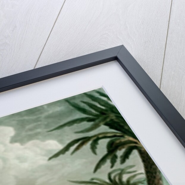 Bonaparte on St. Helena by Francois (after) Martinet