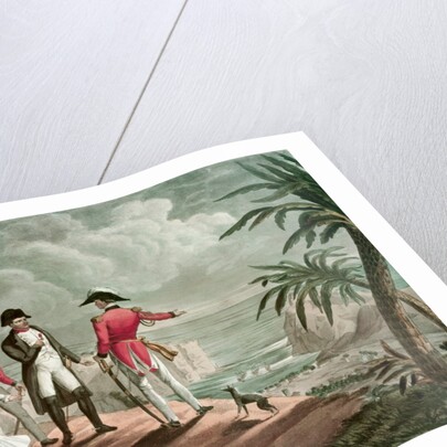 Bonaparte on St. Helena by Francois (after) Martinet