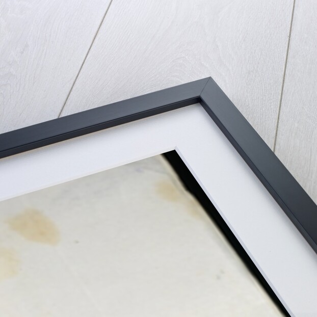 Record of colonies in Warthebruch, Poland, 1775 by German School