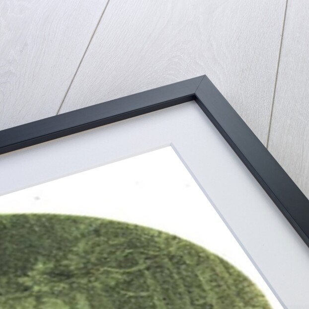 Tamino pursued by a giant serpent, Act I scene I from 'The Magic Flute' by Wolfgang Amadeus Mozart by Austrian School