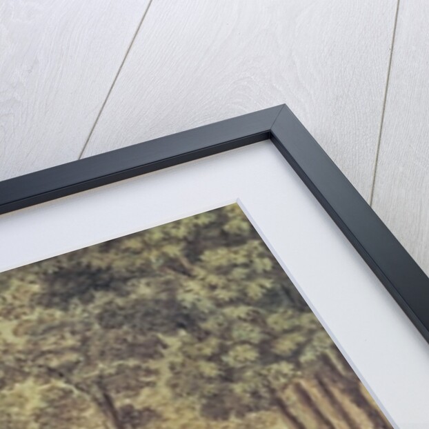 Pamina! You're here! Good God!, Act II by Joseph & Peter Schaffer