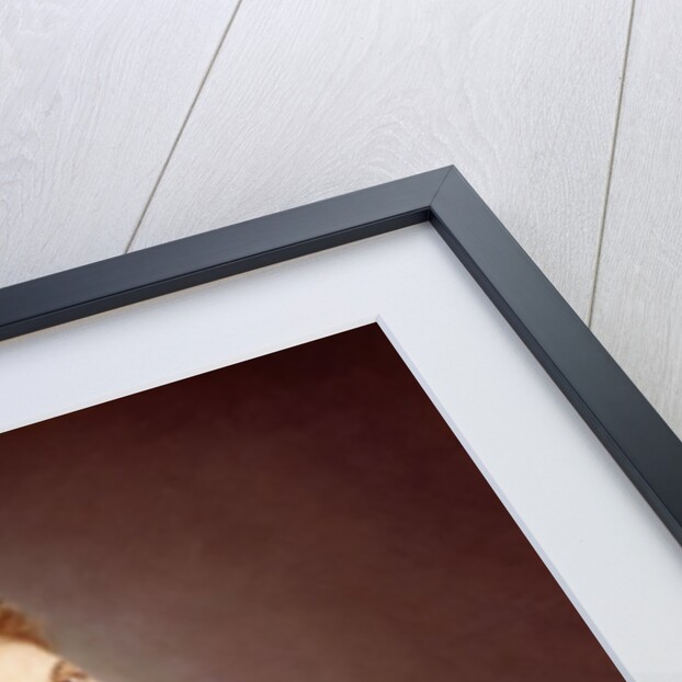 Virginia Oldoini, Countess of Castiglione, after a photo by Pierre-Louis Pierson, 1862 by Michele Gordigiani