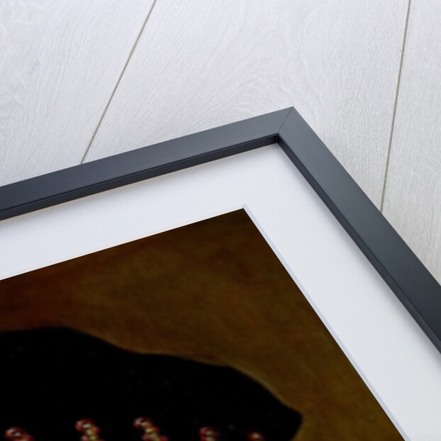 Charles IX by Francois Clouet