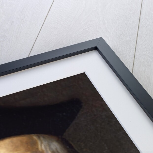 Francois Rabelais, 16th century by French School