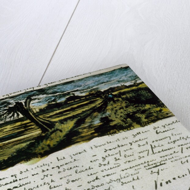 Letter 252 from Vincent van Gogh to Theo van Gogh: Pollard Willow, c.1st August 1882 by Vincent van Gogh