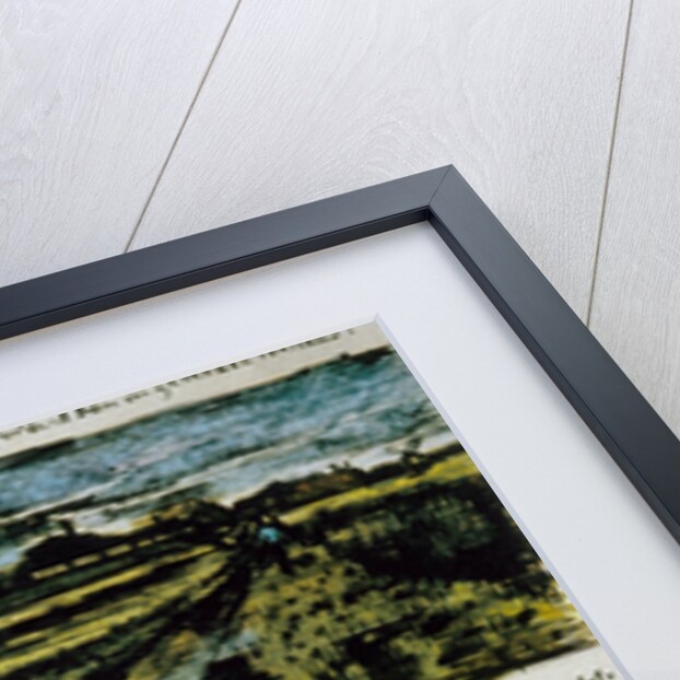 Letter 252 from Vincent van Gogh to Theo van Gogh: Pollard Willow, c.1st August 1882 by Vincent van Gogh