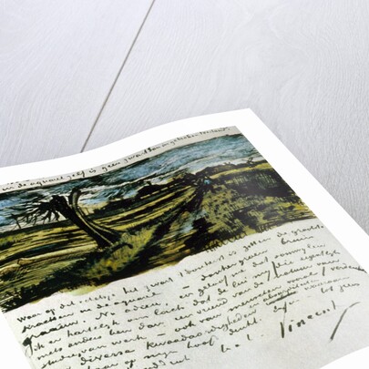 Letter 252 from Vincent van Gogh to Theo van Gogh: Pollard Willow, c.1st August 1882 by Vincent van Gogh