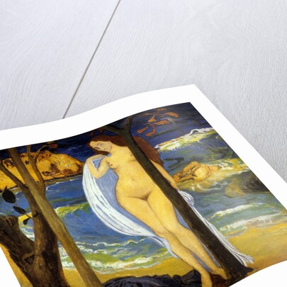 The Mediterranean Sea, 1895 by Aristide Maillol