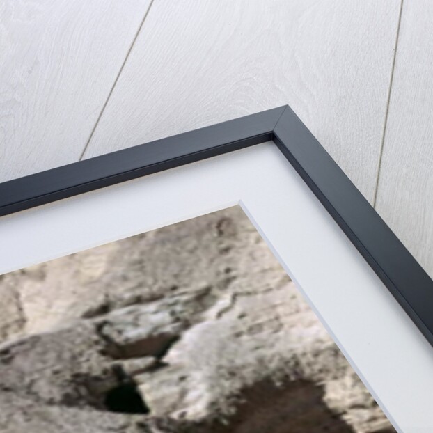 View of the Qumran Caves, where the Dead Sea Scrolls were discovered in 1947 by Anonymous