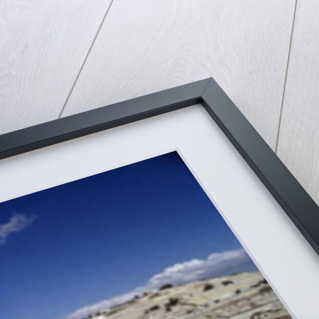 Temple Mount by Anonymous